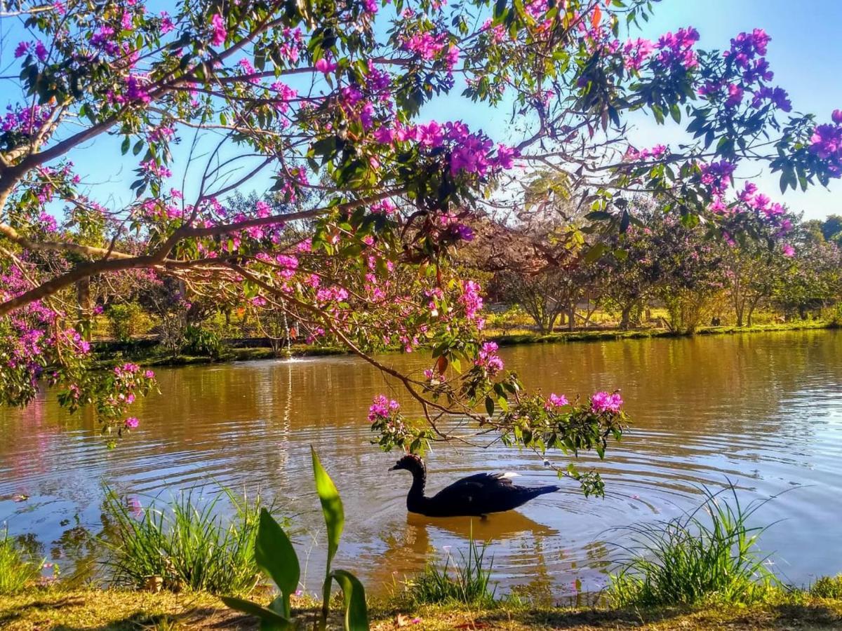 Pousada Chales Do Retiro - Serra Do Cipo Mg Jaboticatubas Exterior foto